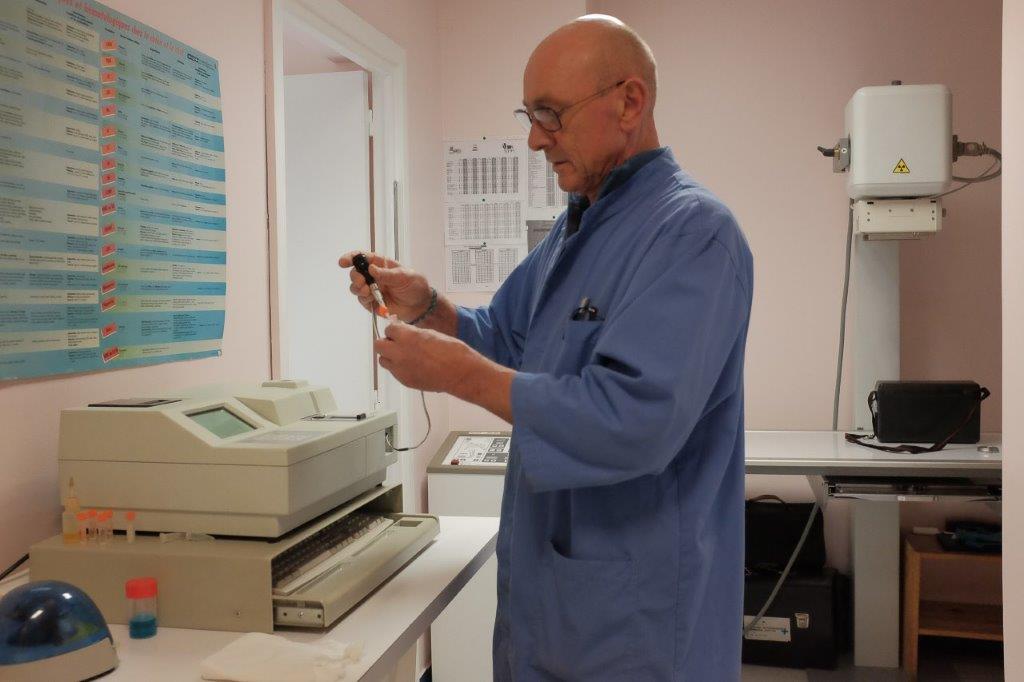 Galerie - Veterinaire Puteaux Lalue #11