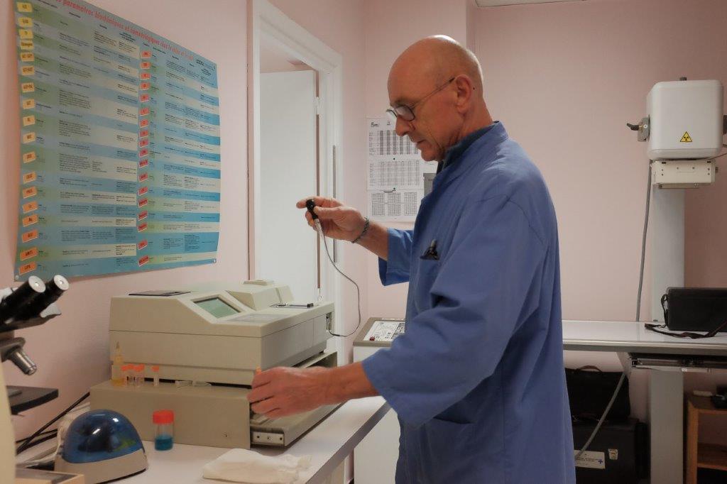 Galerie - Veterinaire Puteaux Lalue #10