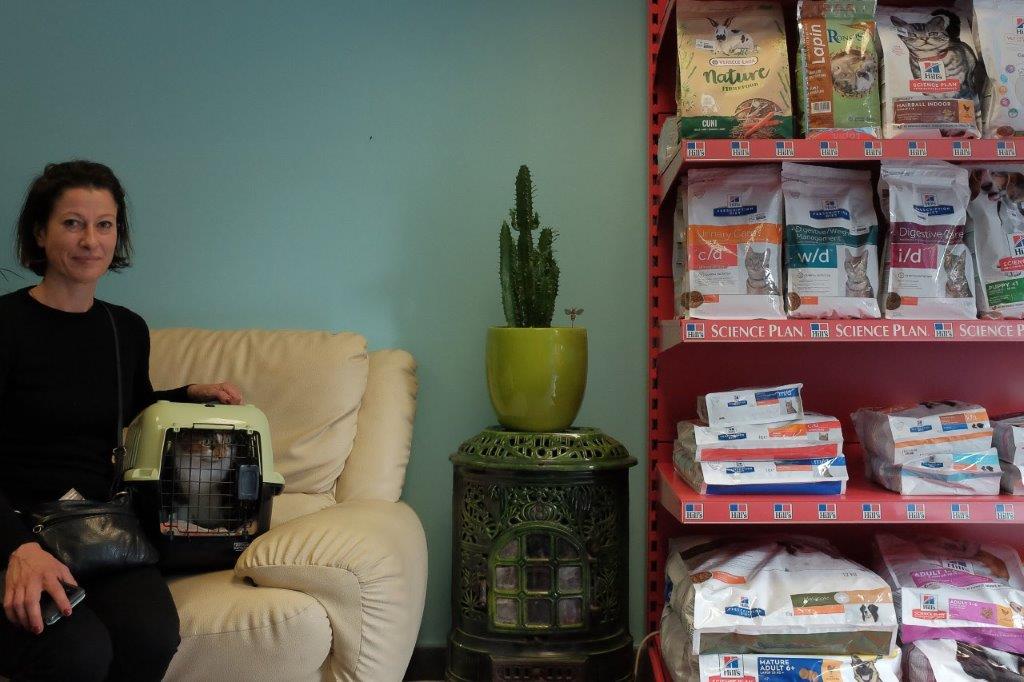 Galerie - Veterinaire Puteaux Lalue #4