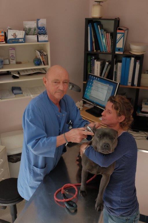 Galerie - Veterinaire Puteaux Lalue #17