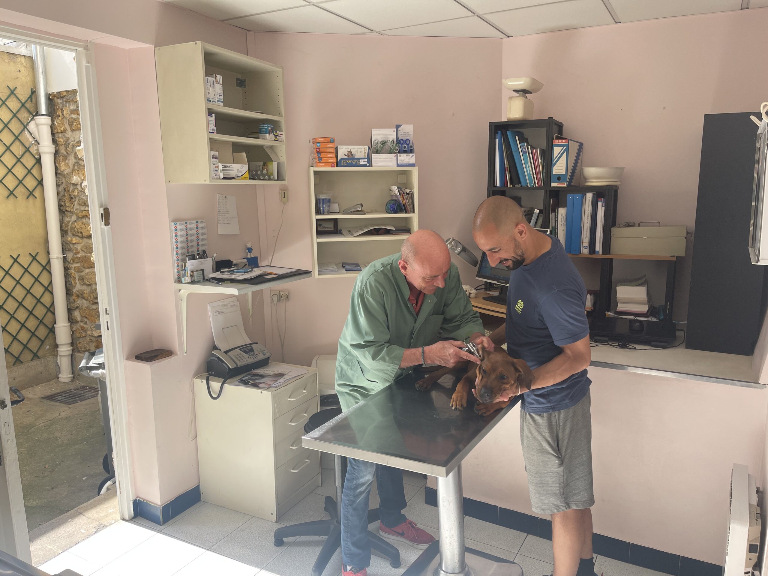 Galerie - Veterinaire Puteaux Lalue #23