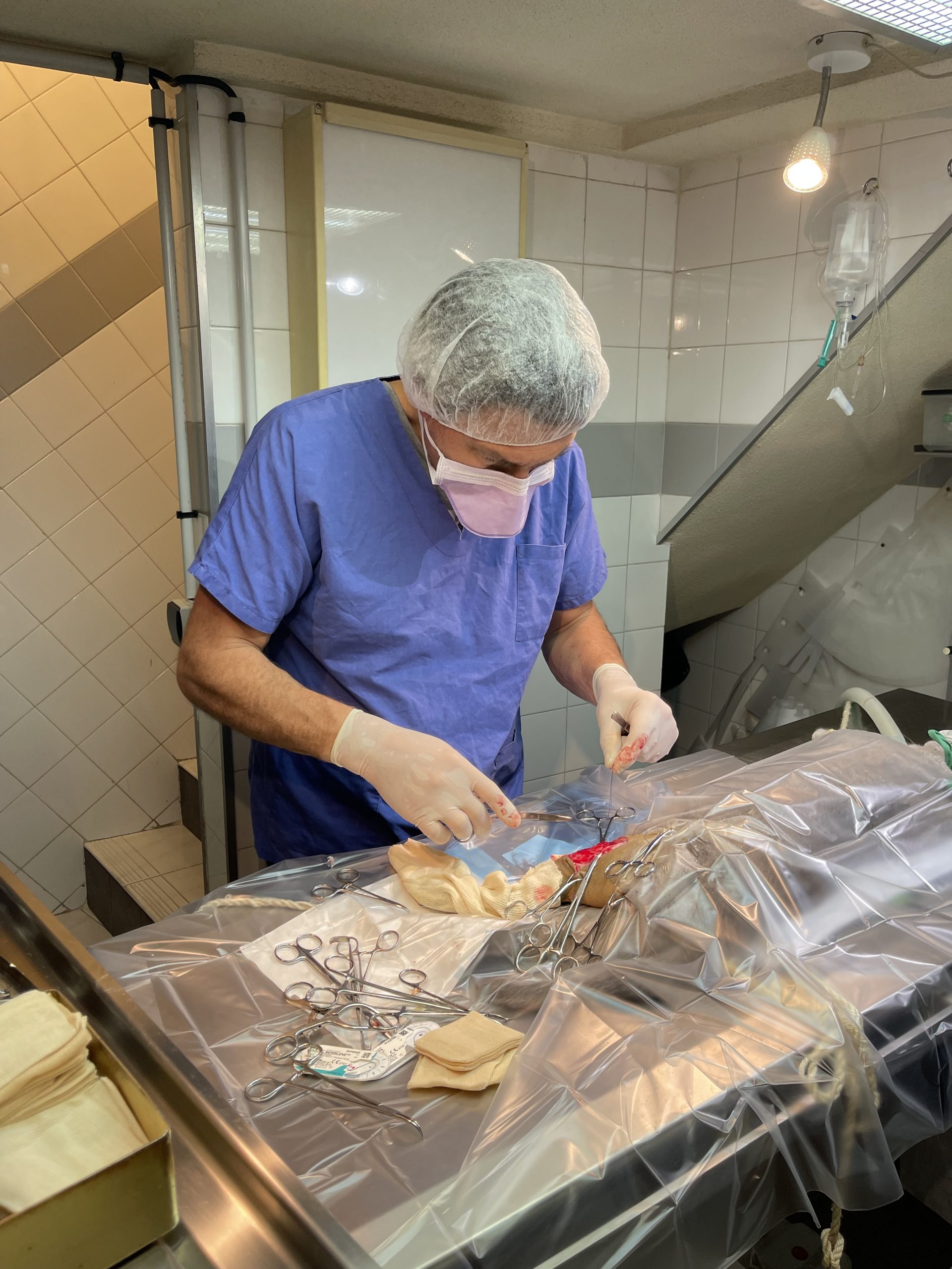 Galerie - Veterinaire Puteaux Lalue #21